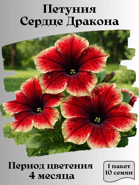 Петуния Сердце Дракона, семена, 10 шт.