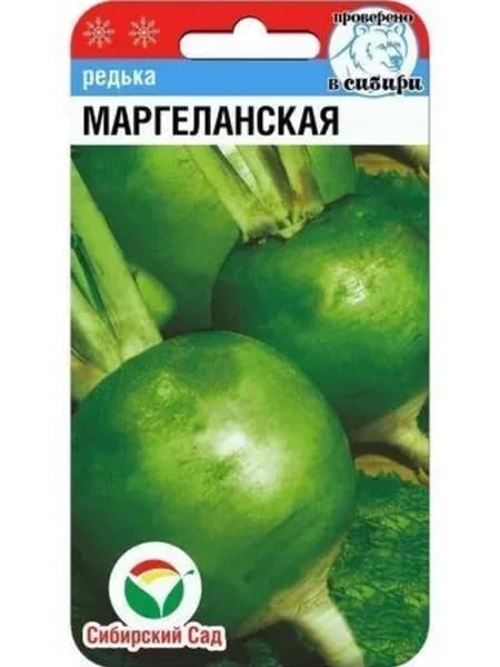 Редька семена Маргеланская 1 г, раннеспелый сорт зеленой редьки