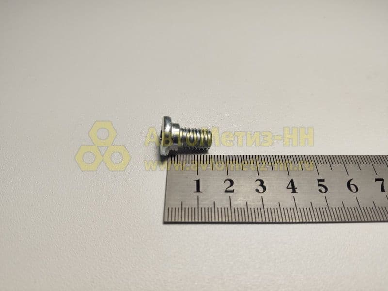 Болт (ось) М10*1,25*13 петли капота под звезд. 2110 (БелЗАН)(уп. 10 шт)