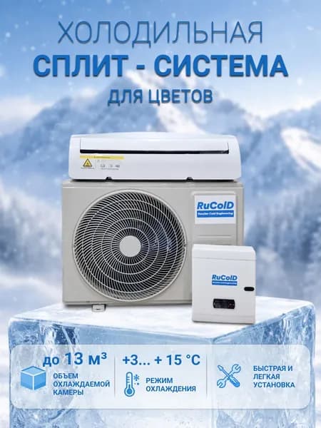 Холодильный кондиционер для цветов +5 С до 13 м3 (объем камеры) HS 110 Rucold температура в камере +3 С...+15 С (с установленным зимним комплектом)
