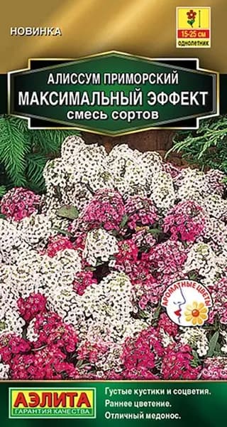 Семена Алиссум приморский Максимальный Эффект, смесь (0,05г) - Аэлита