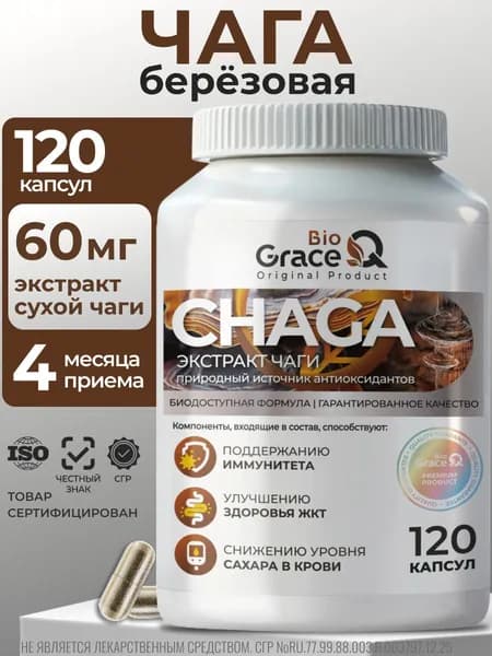 Чага экстракт в капсулах для кишечника и детокса, Витамины для ЖКТ, 120 капсул