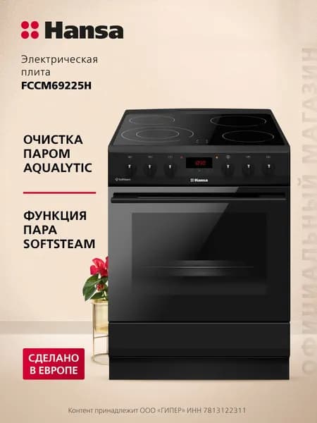 Электрическая плита Hansa FCCM69225H, 65 л, 9300 Вт, гриль, функция пара, дисплей