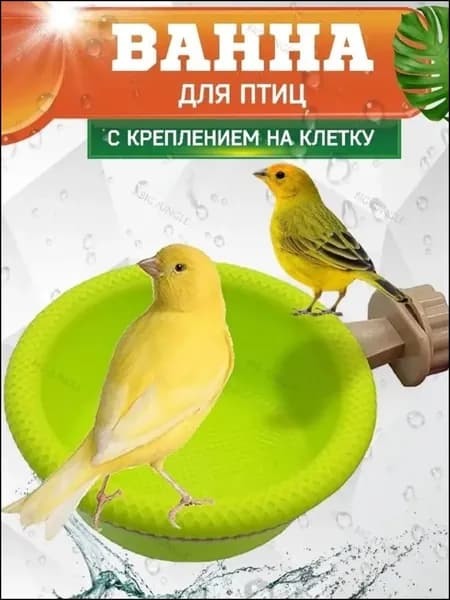 Ванночка для животных