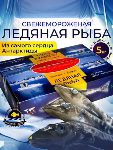 Ледяная рыба свежемороженая, 2 коробки по 5 кг.