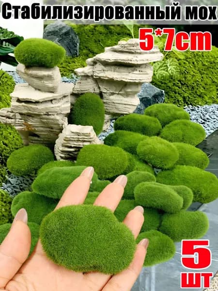 Стабилизированный мох Мох, 5 шт