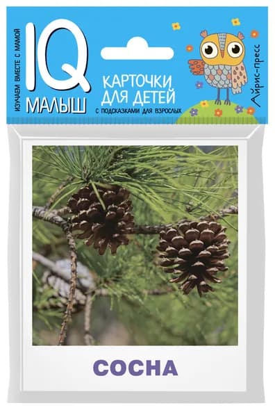 Умный малыш. Карточки для детей. Деревья