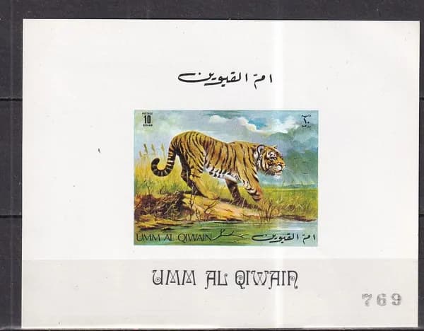 Умм Эль Кувейн 1980 тигр