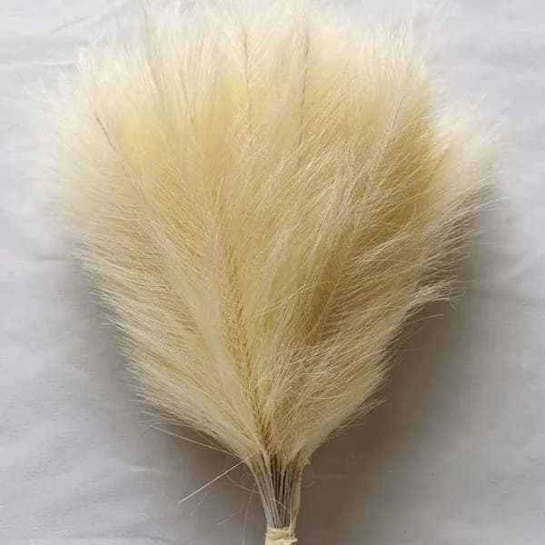 Сухоцветы Пампасная трава 42 см горчичный