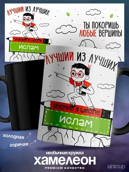 Кружка Хамелеон Ислам Лучший ученик в школе мужская