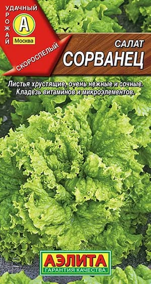 Семена Салат Сорванец Листовой (0,5г) - Аэлита