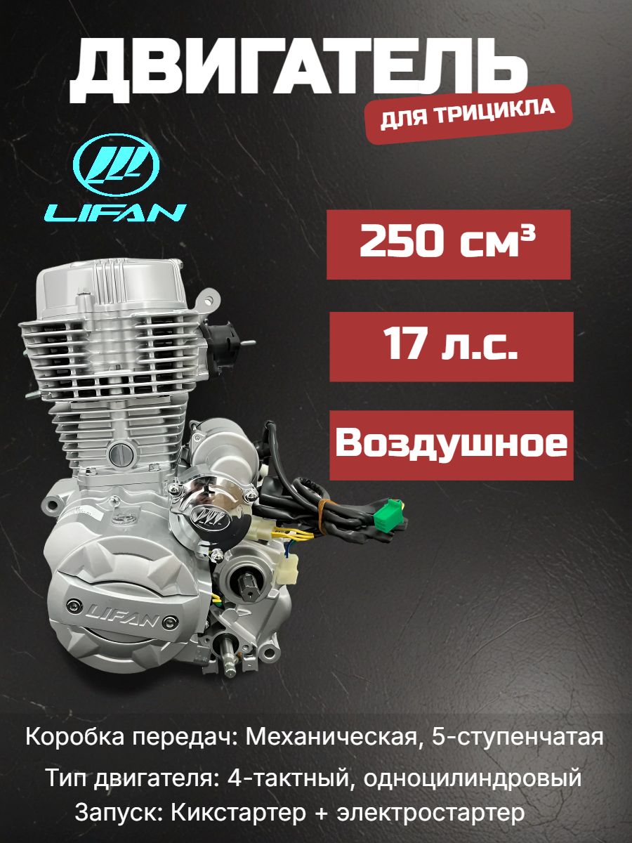 Двигатель 167FML-2 250 см3 для трицикла в сборе