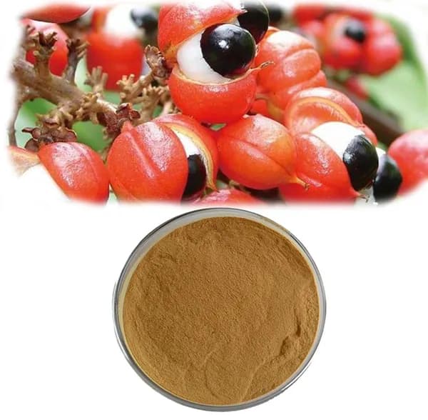 Экстракт гуараны 10:1 в порошке, 100 г.Guarana Extract 10:1