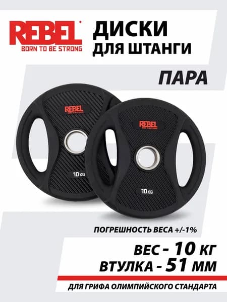 Диски для штанги 10 кг с двумя хватами REBEL R-PVP-10-PAIR (пара)