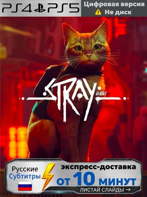 Stray PS4 PS5