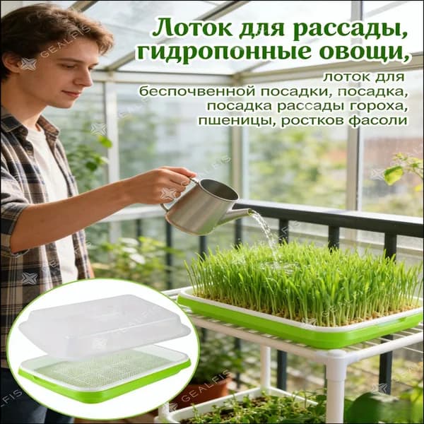 Проращиватель семян