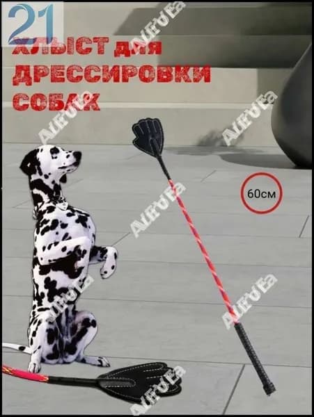 Аксессуары для дрессировки
