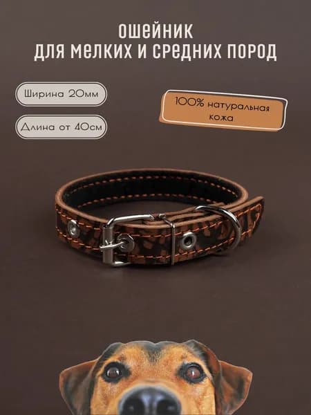 Ошейник кожаный для собак мелких пород