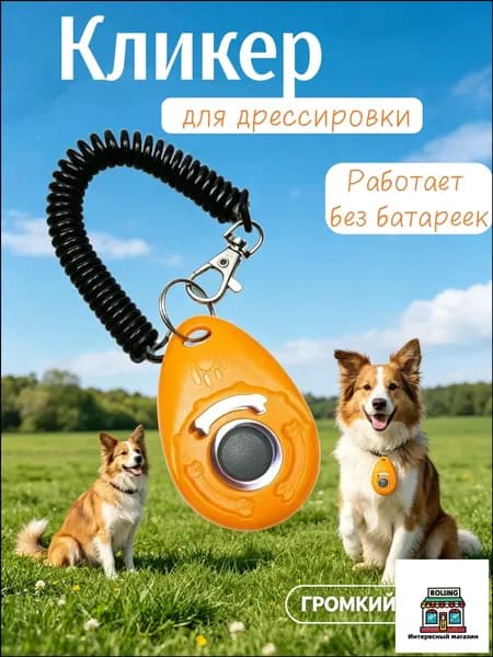 Кликер для дрессировки собак браслет, оранжевый