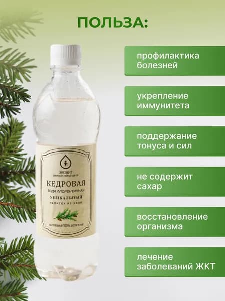 Эковит Вода 500мл. 1шт