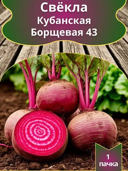 Свёкла Кубанская Борщевая 43 , семена 10 шт.