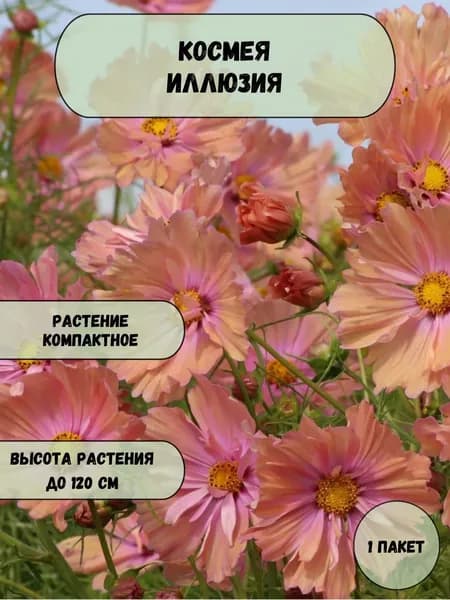 Космея Иллюзия семена 10 шт