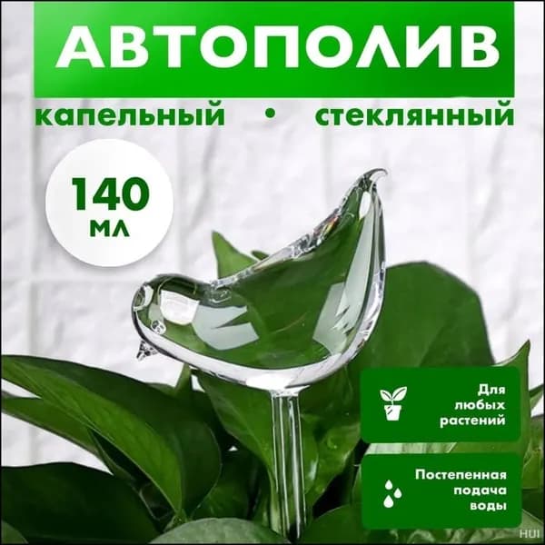 Кашпо, 1 шт, цвет прозрачный