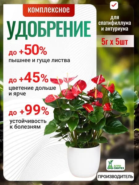 Весеннее удобрение для спатифиллума, антуриума, рост и сила
