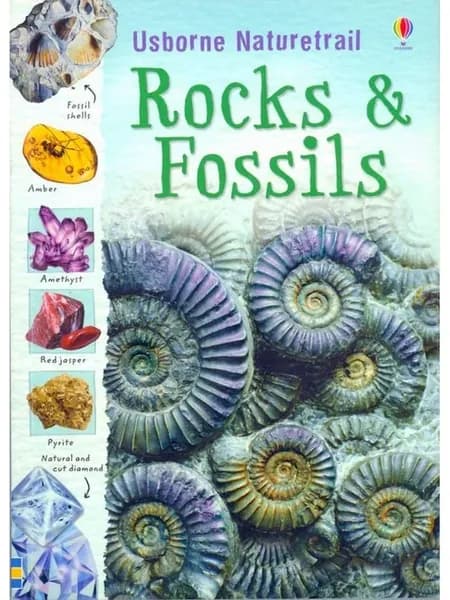 Rocks and Fossils камни интерактивный гид определитель