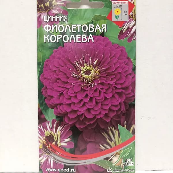 Циния Фиолетовая Королева, 35 семян