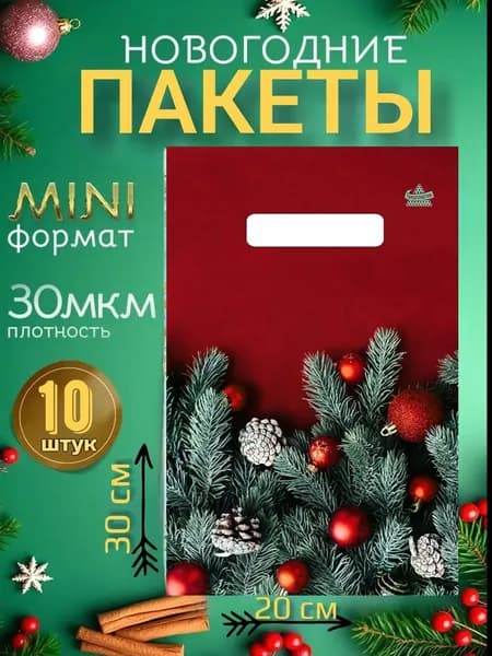 Пакет подарочный 20х30 см, 10 шт.