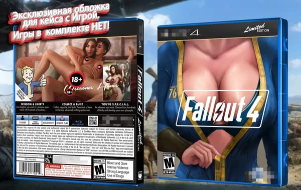 FallOut 4 / Эксклюзивная Обложка для Кейса PS 4