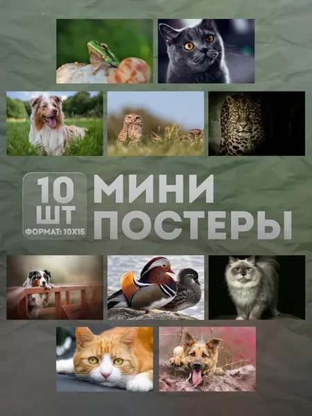 Мини постеры (набор) «Животные» 10 шт