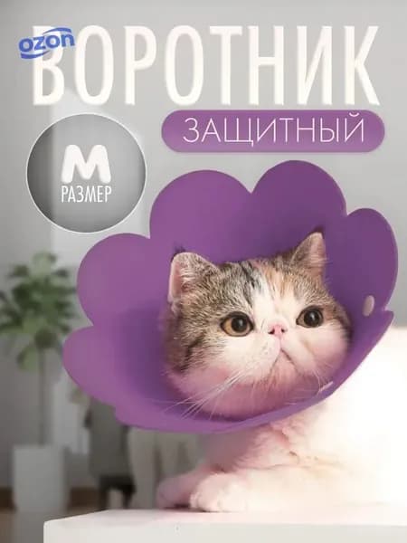 Воротник для животных