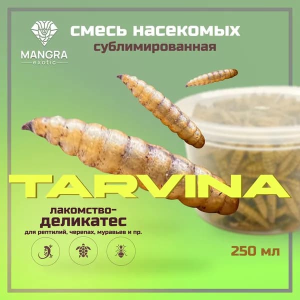 MANGRA exotic TARVINA, 250 мл - смесь насекомых сублимированная (сухой корм для черепах, рептилий, ежей, муравьев, грызунов, птиц)