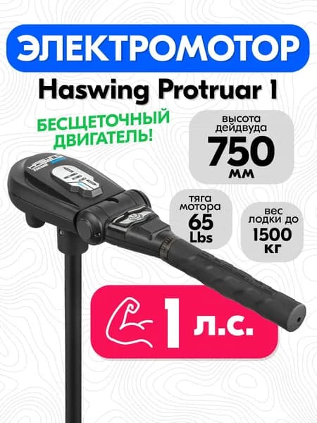 Лодочный электромотор Haswing Protruar 1.0, дейдвуд 75 см.