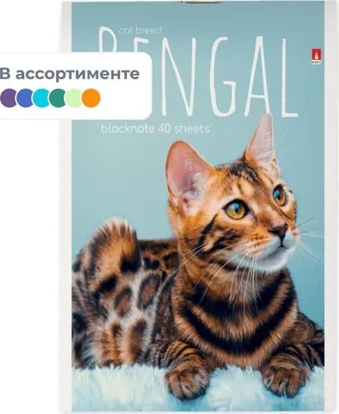 Блокнот Альт Котята А6 40 листов в клетку на скрепке (94х130 мм)