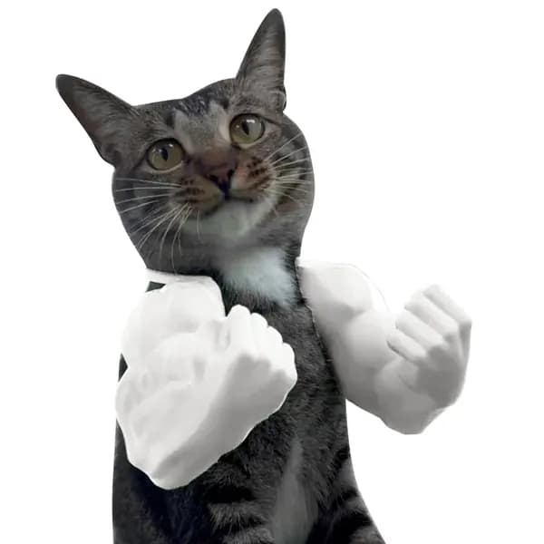 3D-печать кота с мускулистыми руками на шею белого цвета