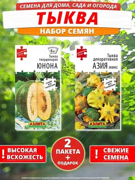 Семена тыква для дома сада посадки