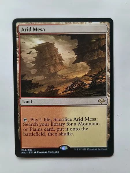 Портативные карты MTG Настройка и прокси Высокое качество без фольги Арид Меса