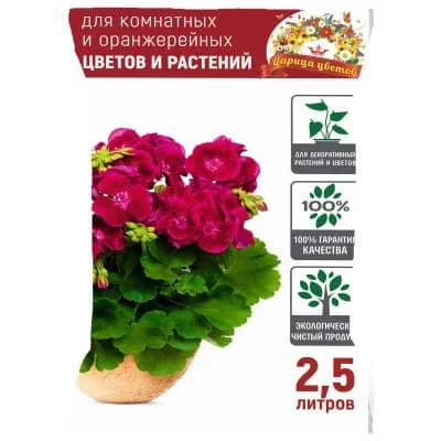 Царица Цветов Грунт