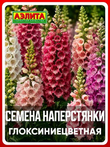 Семена Наперстянка "Глоксиниецветная" смесь 0,2 гр, двулетние цветы для для дома, дачи и сада, клумбы, в открытый грунт, в ящик.