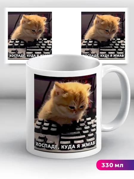 Кружка с приколом мем с котиком "Хоспаде куда я жмав"