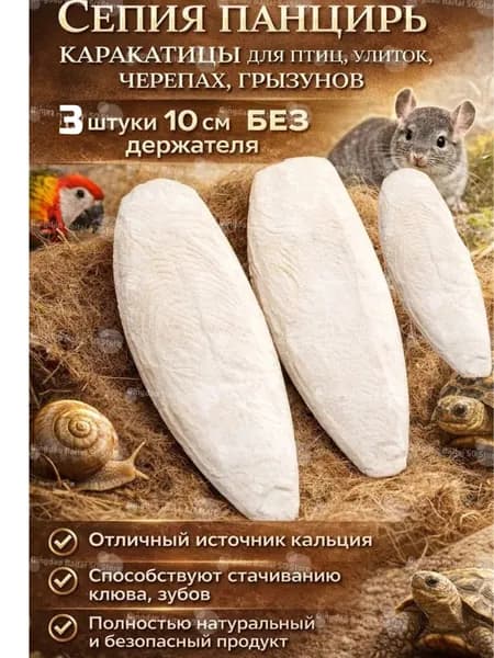 Сепия панцирь каракатицы для птиц, улиток, черепах, грызунов 10 см БЕЗ держателя