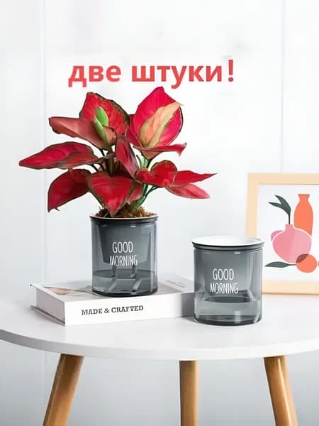 Кашпо с автополивом, 2 шт, цвет лазурный