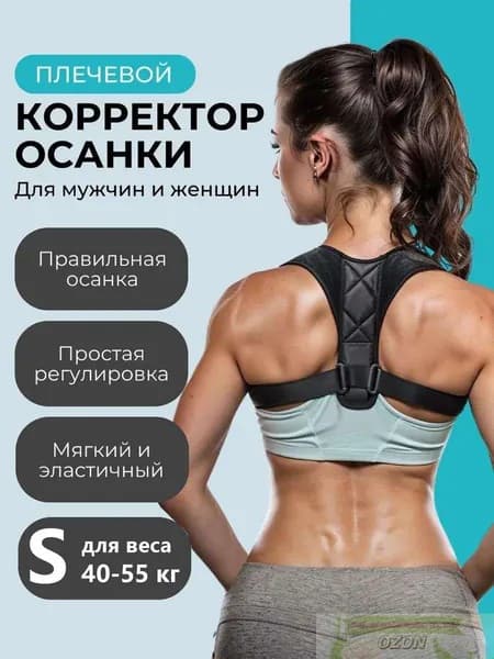 Тренажер для спины 019d28c8c2227b50b4eead1ca8bded73