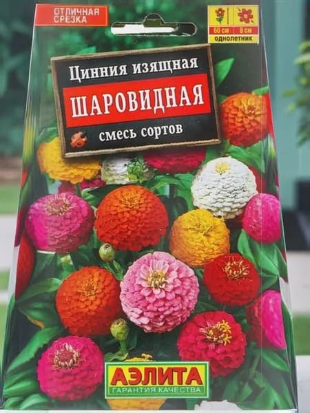 Цинния Шаровидная