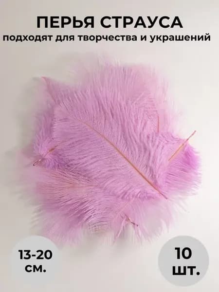 Страусиные перья страуса 10шт