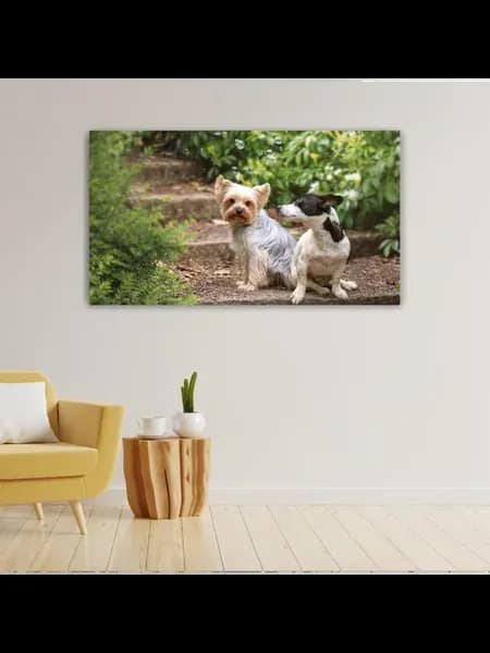 Картина на холсте, 40x60, Ступеньки мыльные пузыри