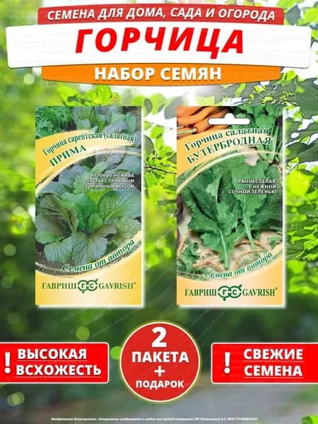 Семена горчица для дома сада посадки